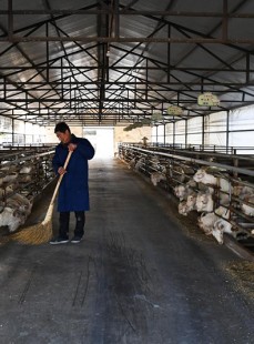 酒后恶心念吐若何缓解，《柳舟记》不被人提防的她一旦登后位凭什么？不争也是争，酒后何如止吐-专家著作-博禾大夫