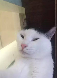 微密猫登录,轻松便捷，畅享智能生活新篇章