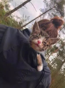 微密猫免费版,揭秘高效私密文件管理新体验