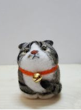 微密猫,揭秘微观世界的神秘魅力