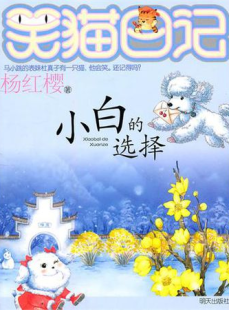 小猫日记,温馨日常与成长点滴