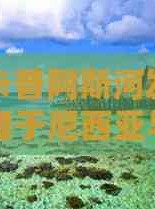 可可西的美丽传说在线观看卡普阿斯河发源于尼西亚与马来西亚是加里曼丹岛西部主要水道