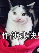 微密猫入口,探索神秘世界的神秘之门