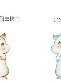 脑婆睡醒啦,网络女神的日常魅力与创作之路